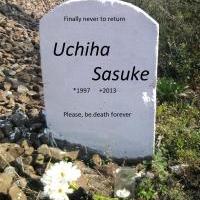 Zdechni už konečně, Sasuke!!!